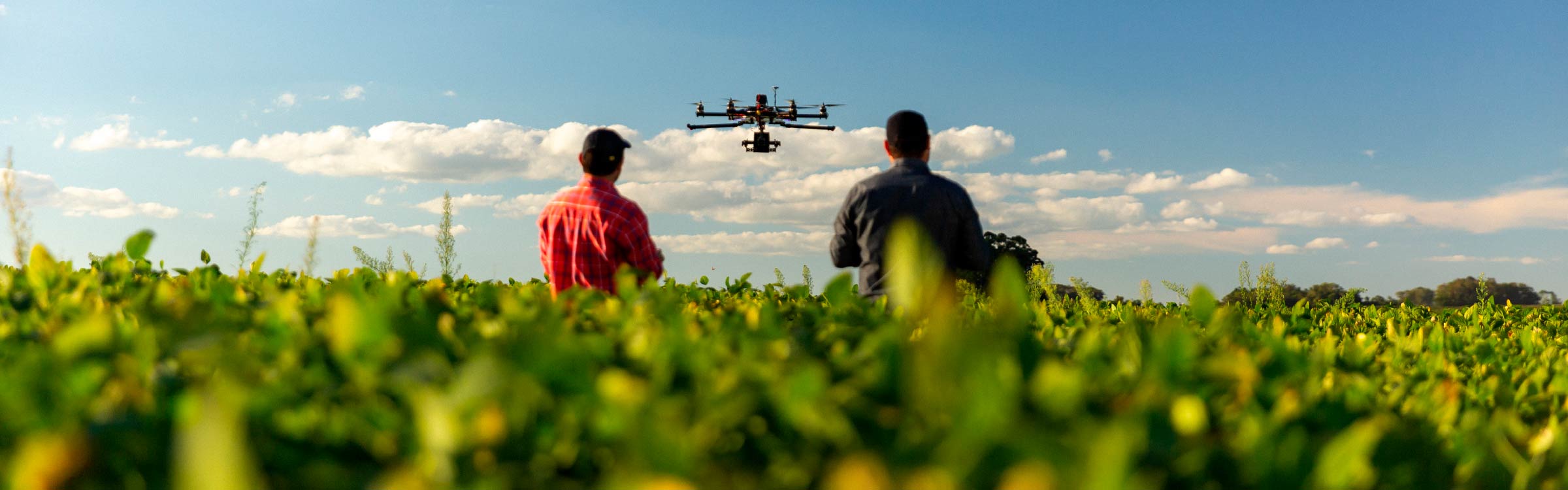 dos personas en un prado, manejando un dron
