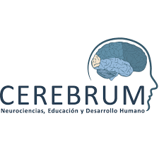 cerebrum