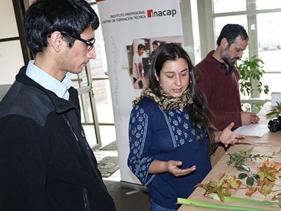 muestra de infografía