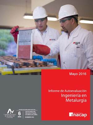 Ingeniería en Metalurgia