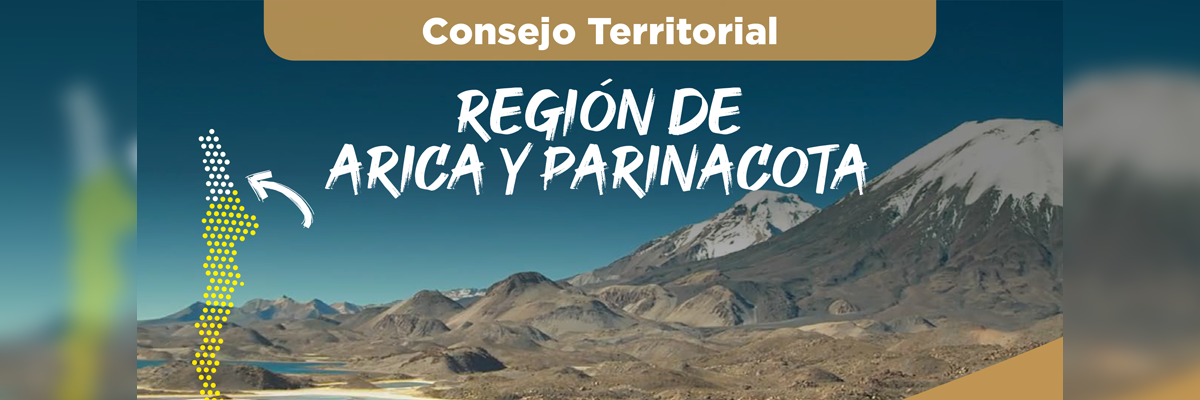 Consejo Territorial región arica y parinacota